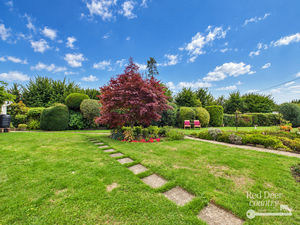 Front Garden- click for photo gallery